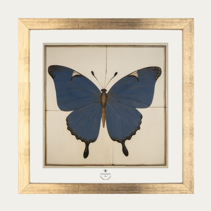 Pack cadre + illustration Papillon Bleu