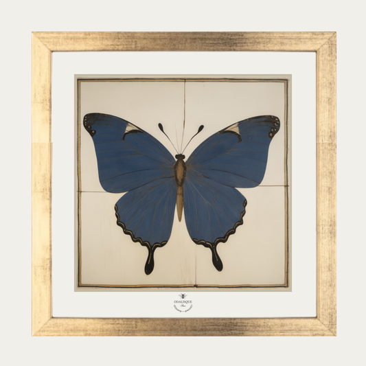 Pack cadre + illustration Papillon Bleu