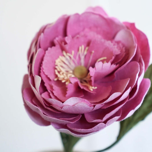 Grande pivoine en papier rose foncé