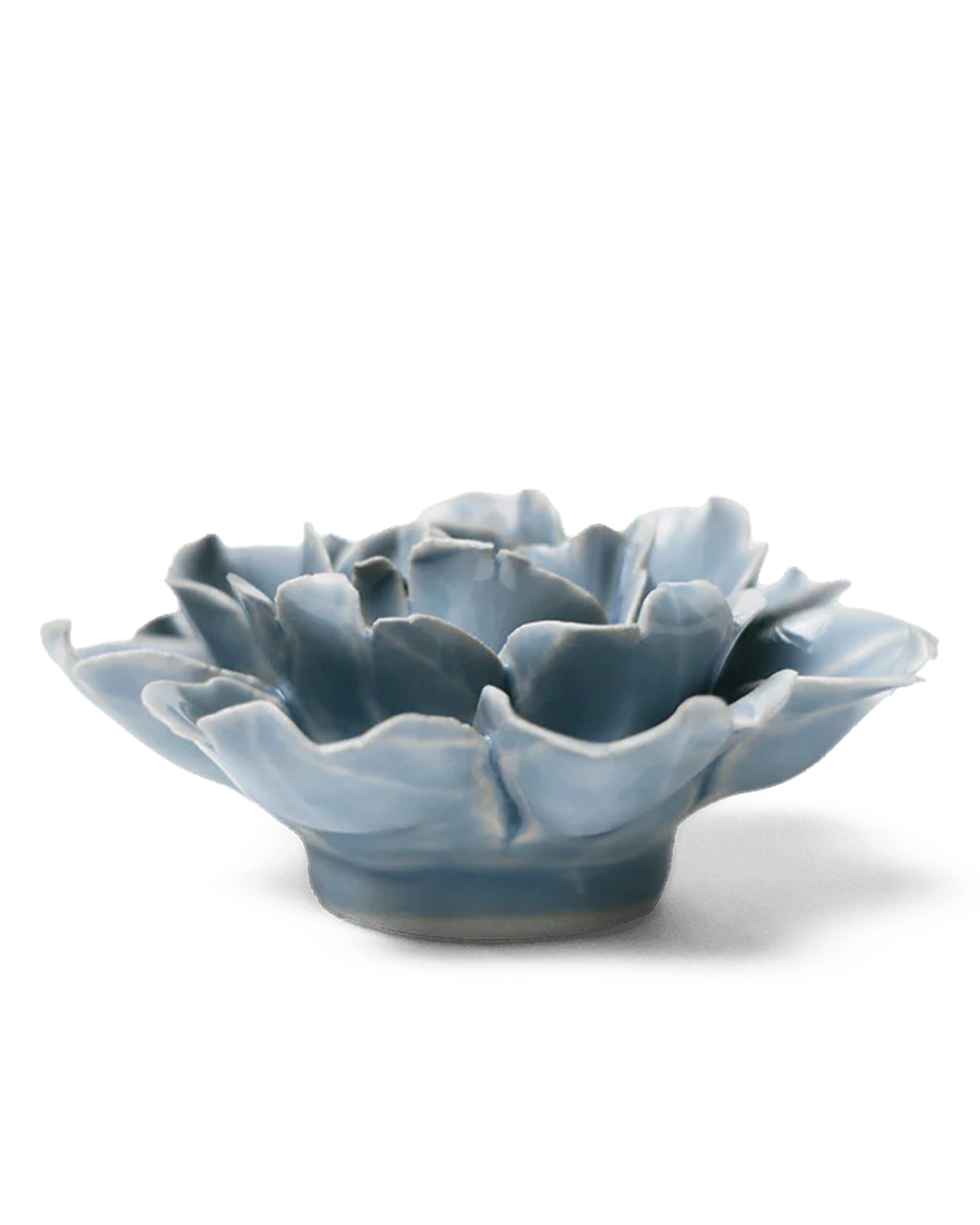 Jardin anglais, Rose bleue pastel - EG08