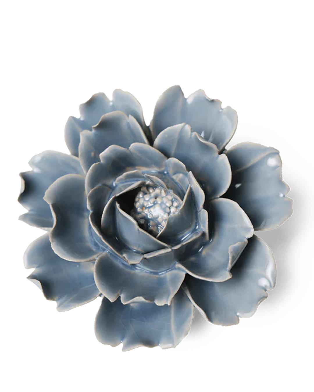Jardin anglais, Rose bleue pastel - EG08