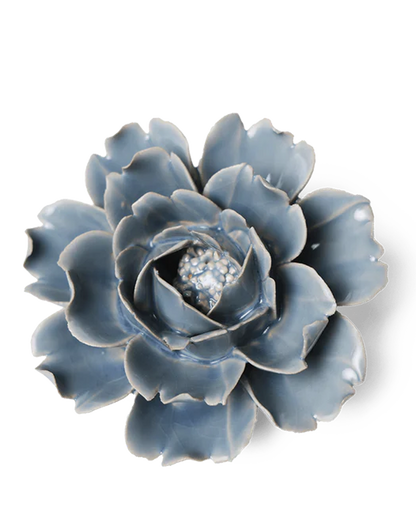 Jardin anglais, Rose bleue pastel - EG08