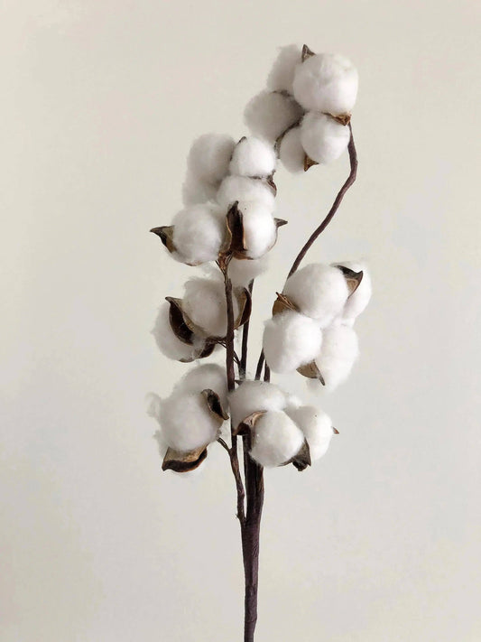 Fondants de cire parfumée Fleur de coton