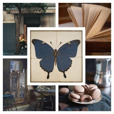 Pack cadre + illustration Papillon Bleu