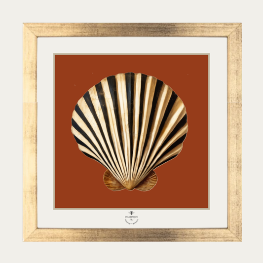 Pack cadre + illustration Coquille St Jacques fond rouge