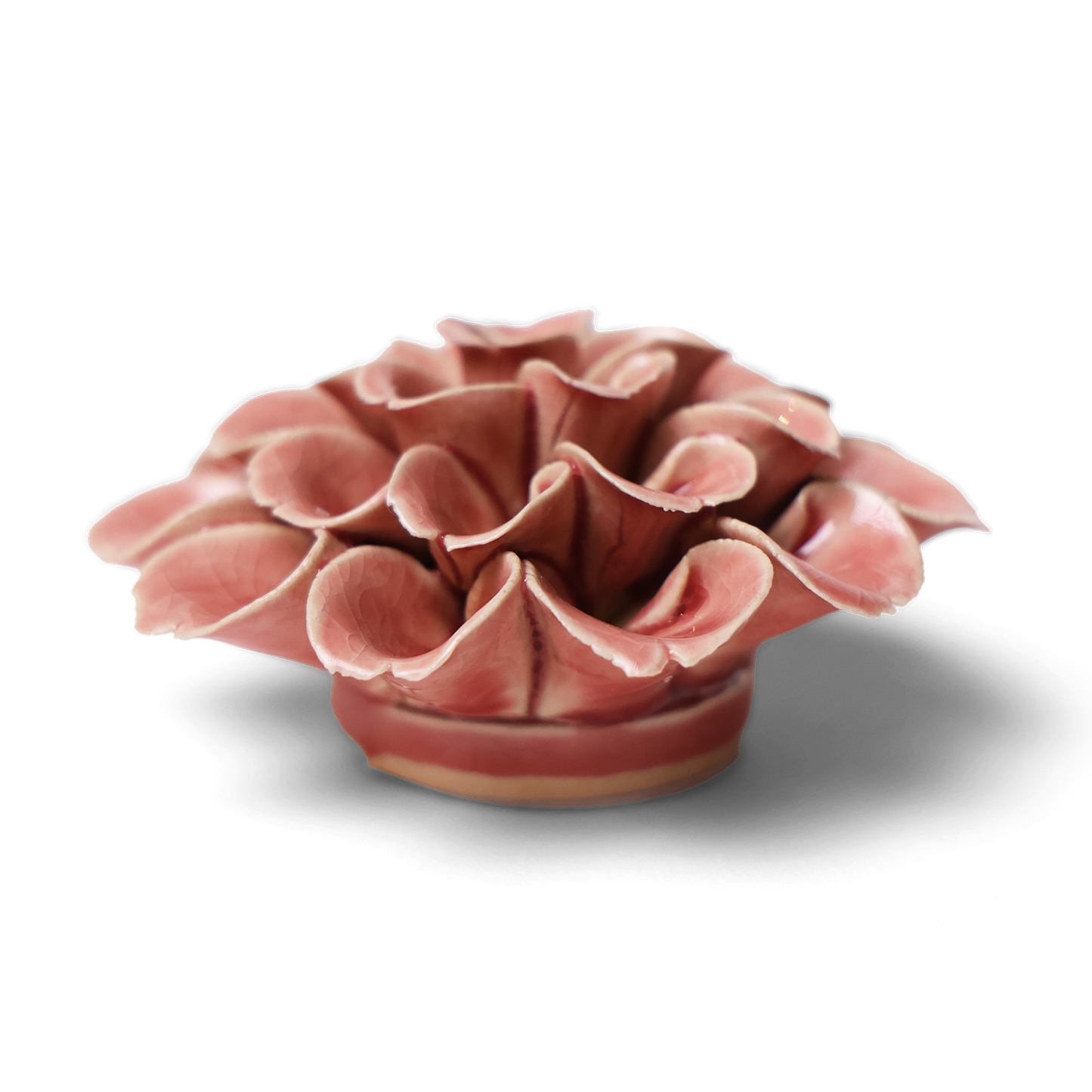 Collection de fleurs en céramique de Pâques pour la cuisine