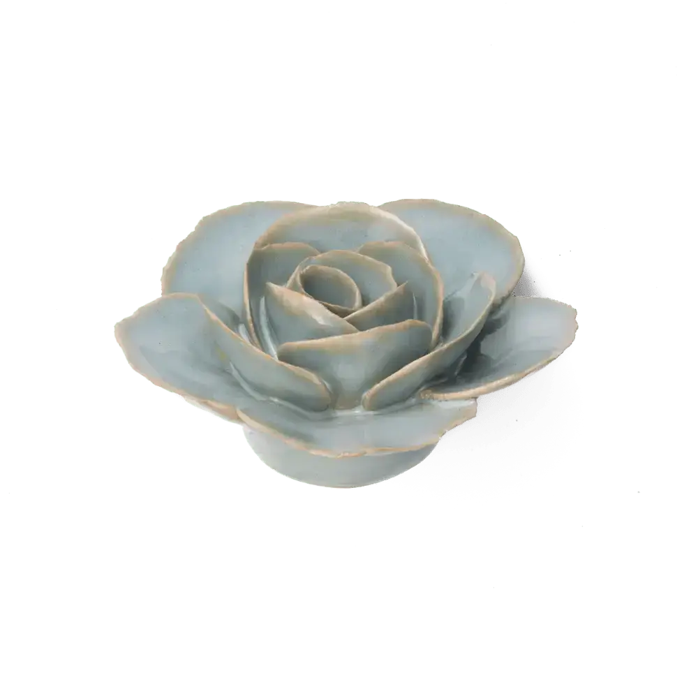 Élégance Lait de Thé Boutique de Fleurs de Renoncules Articles Cadeaux