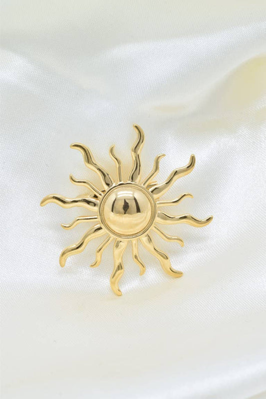 Broche en acier inoxydable - BH500041: Doré
