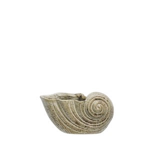 COQUILLAGE EN GRÈS - ÉCRU, MARRON - 20X11X10 CM